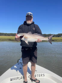 Savannah Report Photo 1