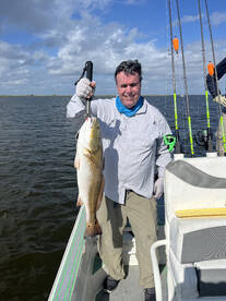 St. Bernard Report Photo 2