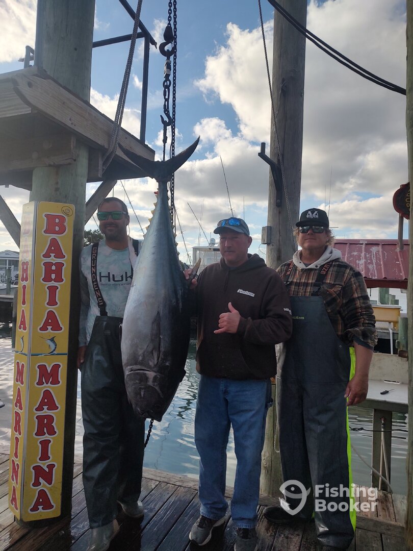 Ocean City Report Photo 0