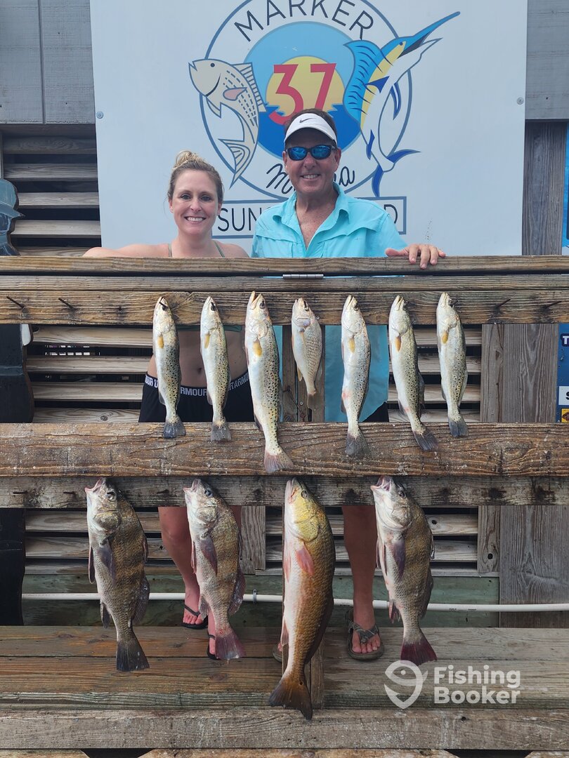 Corpus Christi Report Photo 0