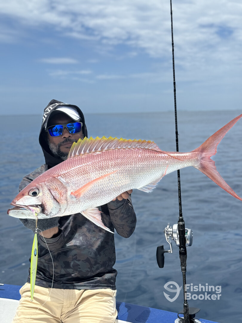 Komandoo Report Photo 0