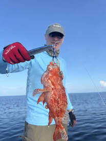 Komandoo Report Photo 4