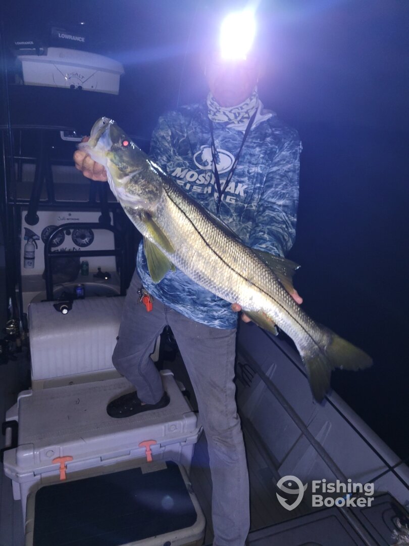 Homosassa Report Photo 0