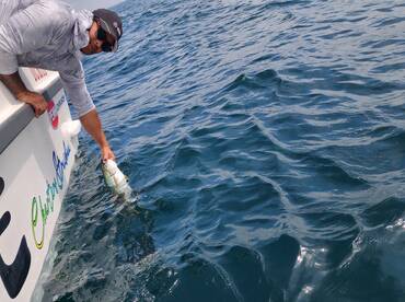 Struisbaai Report Photo 2