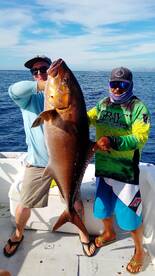 San Jose del Cabo Report Photo 1