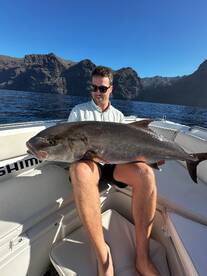 Santiago del Teide Report Photo 1