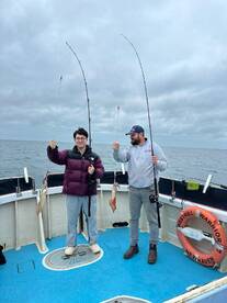 Squid galore 