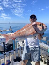 Snapper caught to 89 cm