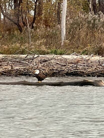 Oak Harbor Report Photo 2