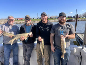 Walleye fishing is incredible right now!
