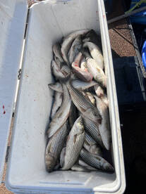 Fall fishing
