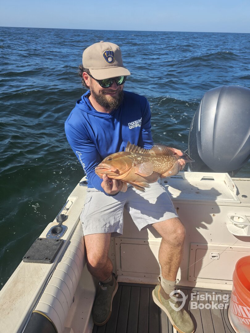 Belleair Bluffs Report Photo 0