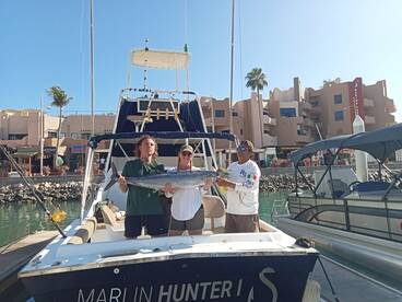 Cabo San Lucas Report Photo 1