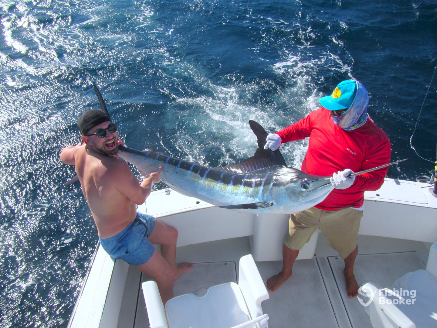 Cabo San Lucas Report Photo 0