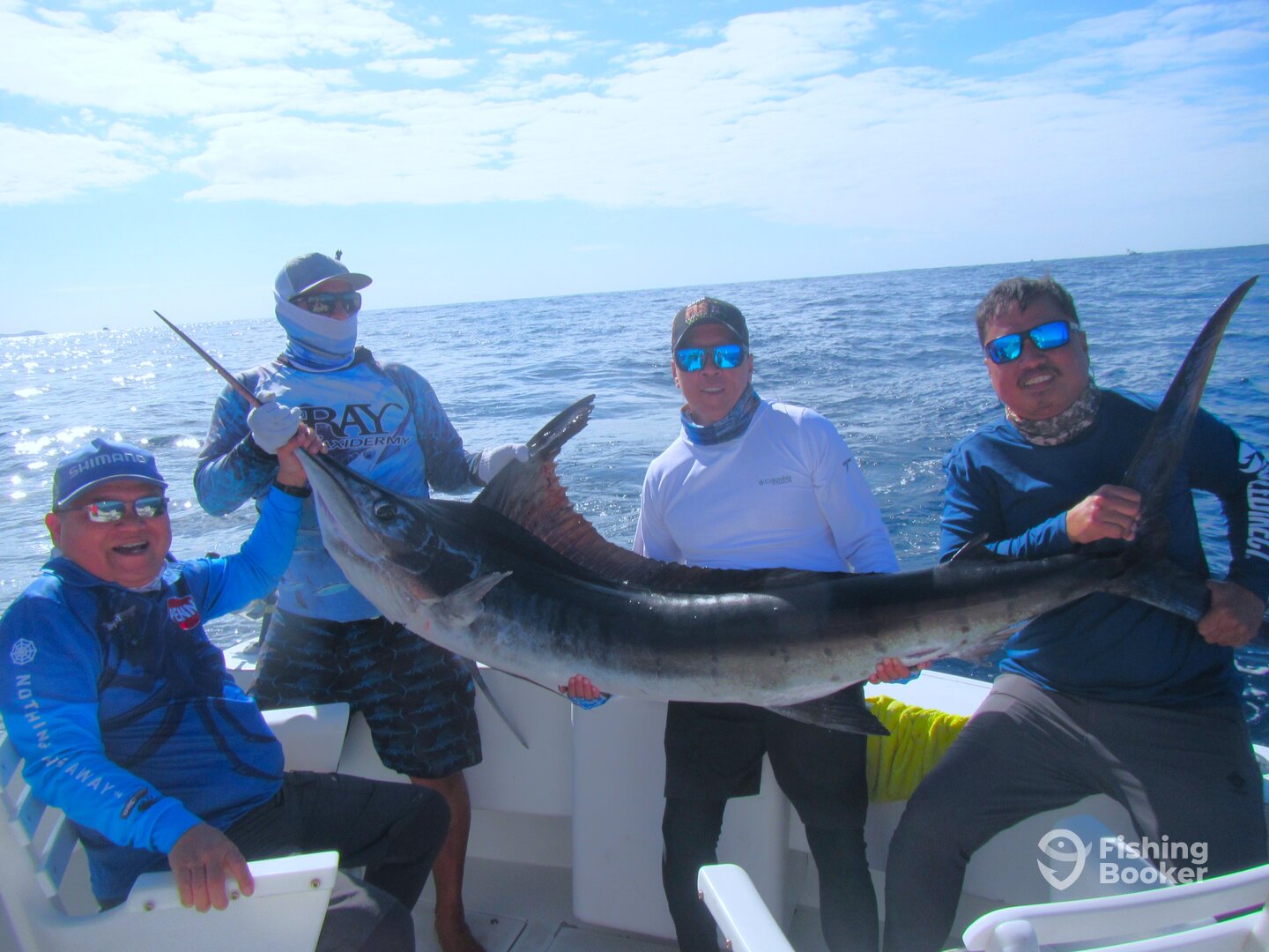 Cabo San Lucas Report Photo 0