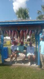 Panama City Beach Report Photo 1