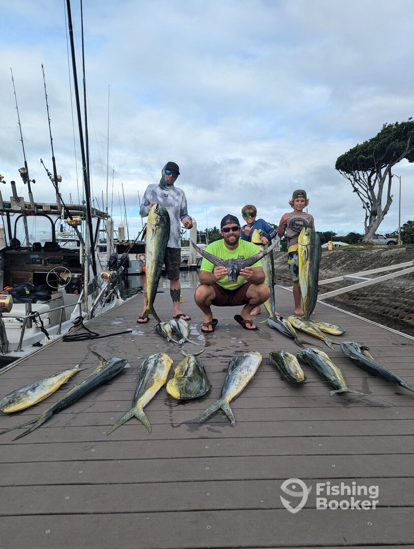 Haleiwa Report Photo 0