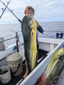 Haleiwa Report Photo 1