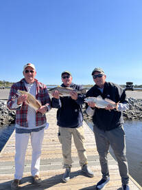 artificially Fall trout and red drum fis