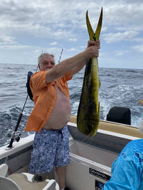 Puerto Vallarta Report Photo 2