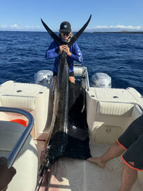 Kailua-Kona Report Photo 2