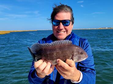 Striped Bass fishing improving