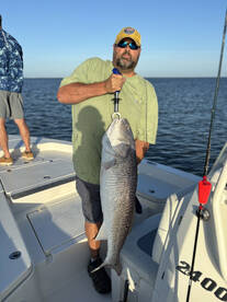 Chaw! look at dat Oyster!