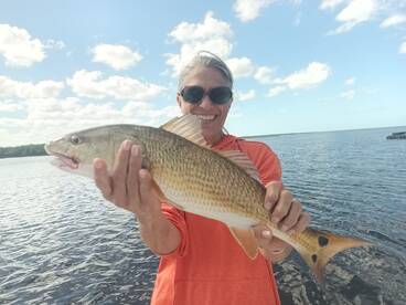 Lots of redfish, snook and trout on rece