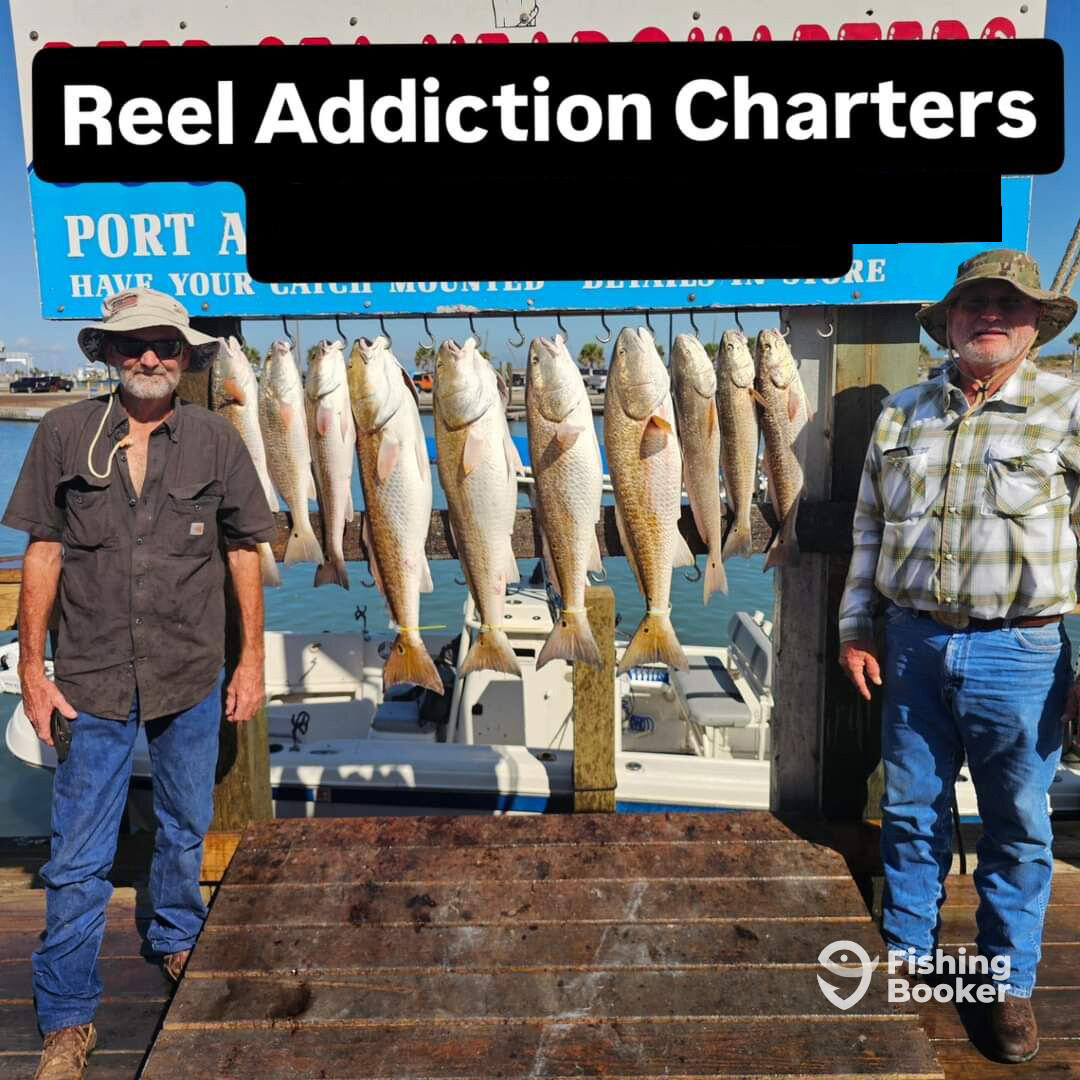 Port Aransas Report Photo 0