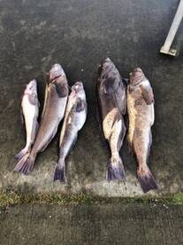 Coal Harbour Report Photo 1