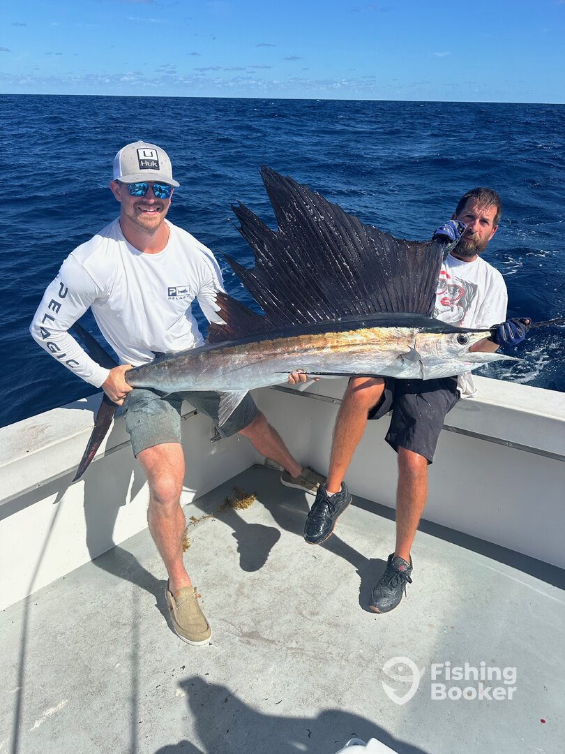 Dania Beach Report Photo 0