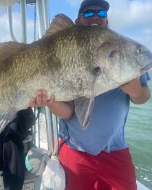 The big black drum are here