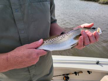 Jacksonville Report Photo 2