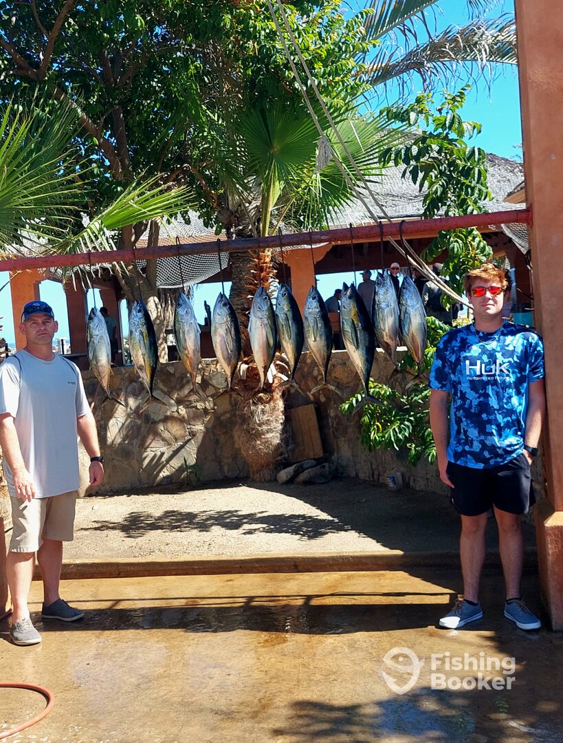 San Jose del Cabo Report Photo 0