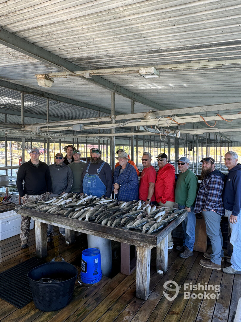 Pottsboro Report Photo 0