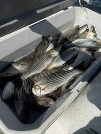 Pottsboro Report Photo 2