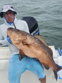 Cubera Snapper