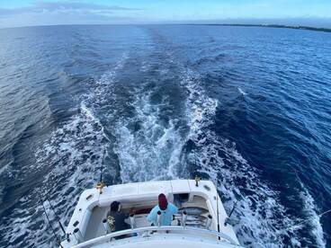 Puerto Aventuras Report Photo 1