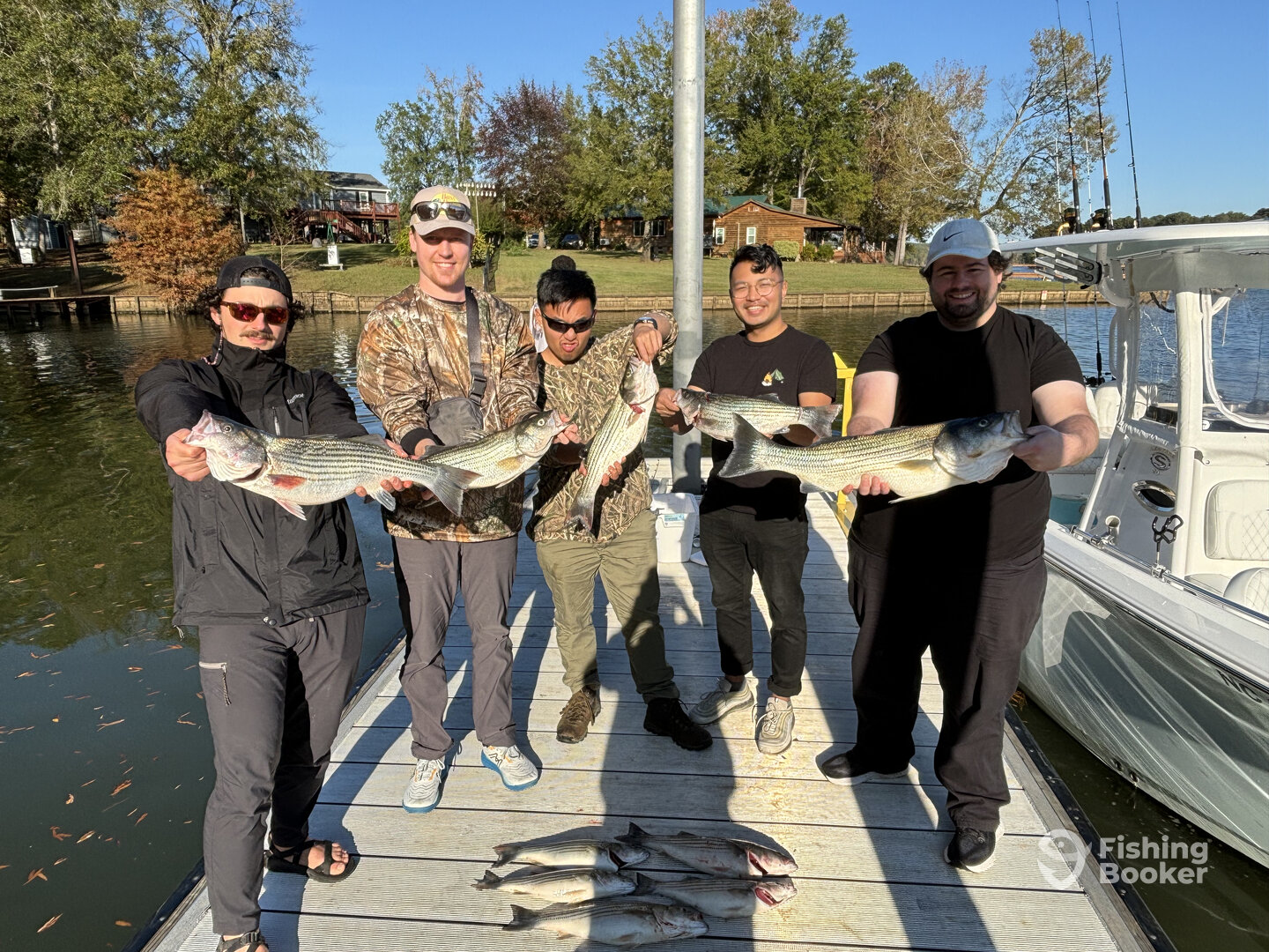 Tega Cay Report Photo 0