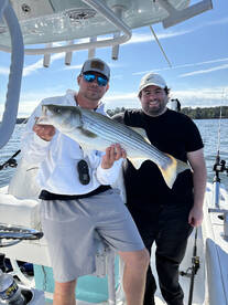 Tega Cay Report Photo 1