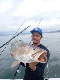 Herradura Report Photo 2