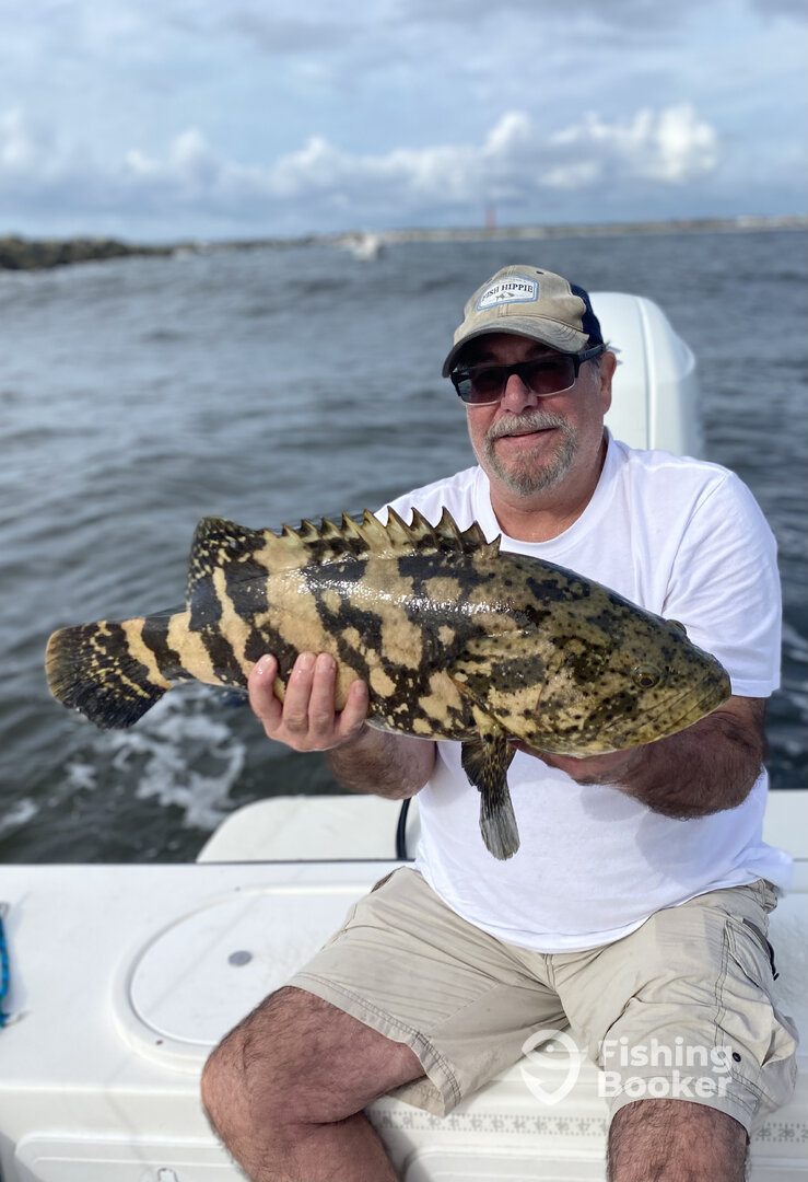 Port Orange Report Photo 0