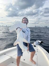 Hammer heads in the seas