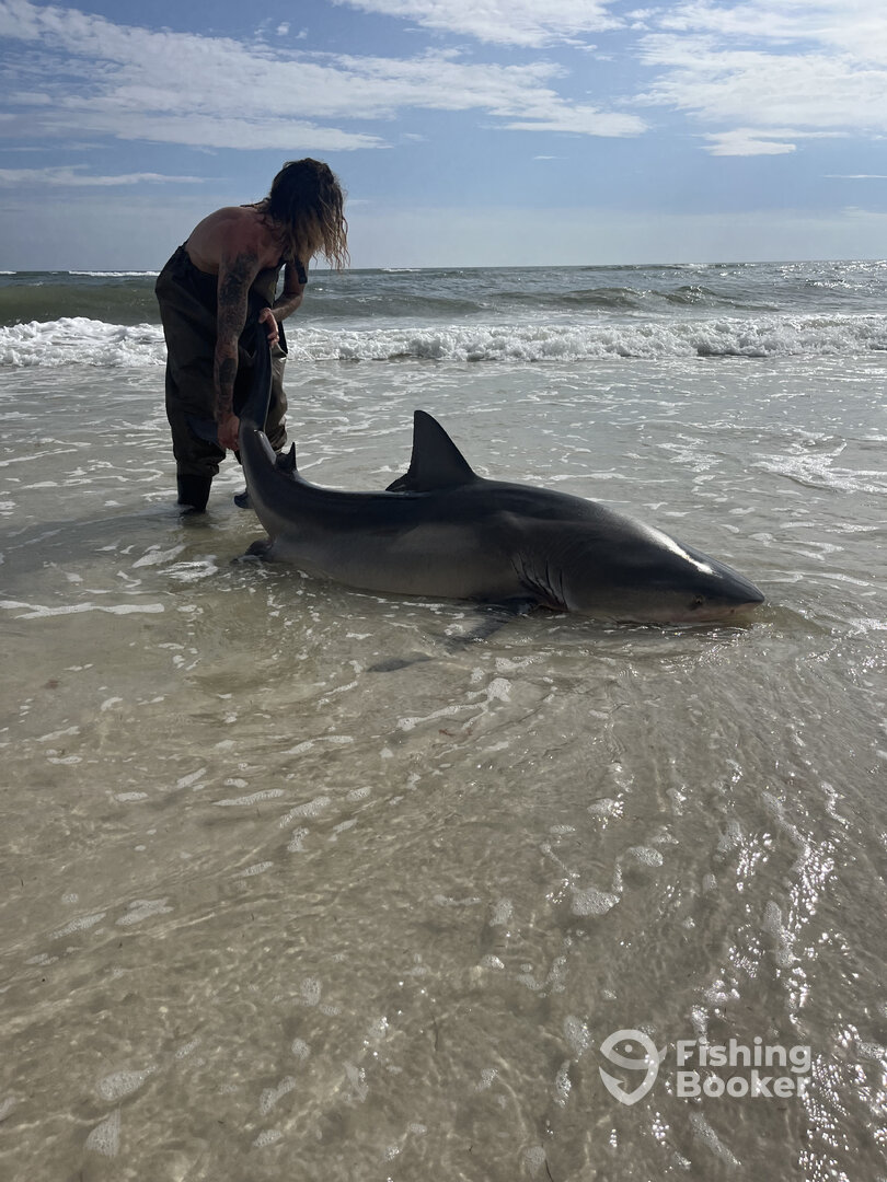 Destin Report Photo 0