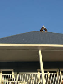 Good times and tight lines!