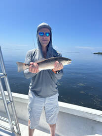 Fort Myers Report Photo 1