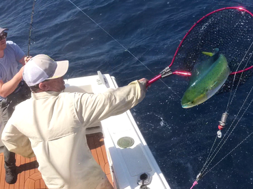 Sydney Report Photo 2