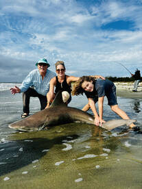 Folly Beach Report Photo 1