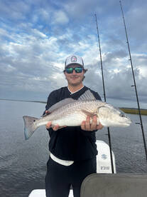 Jekyll Island Report Photo 1