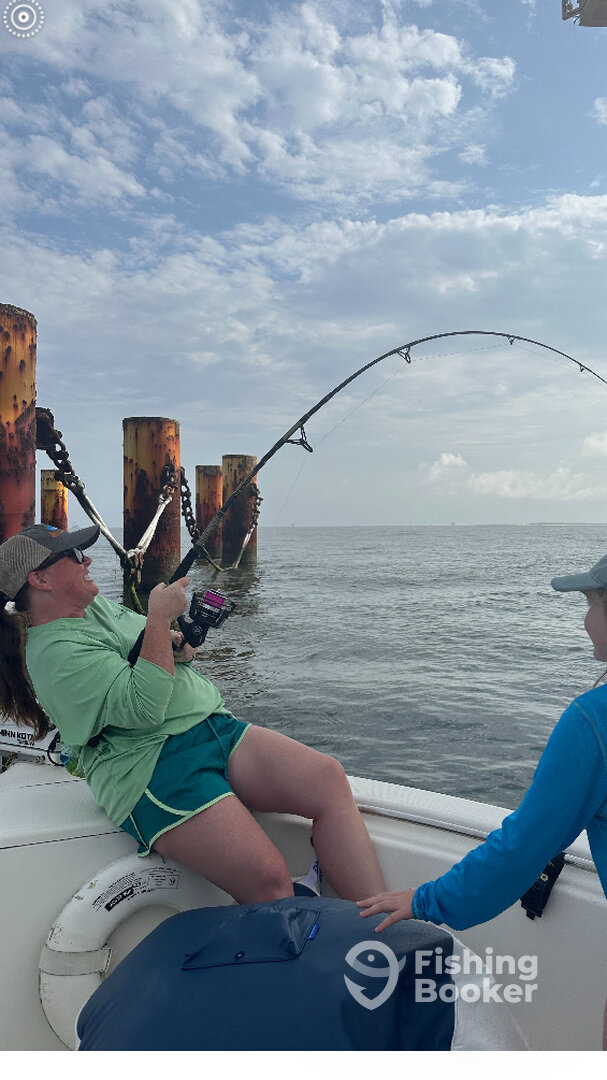 Gulf Shores Report Photo 0